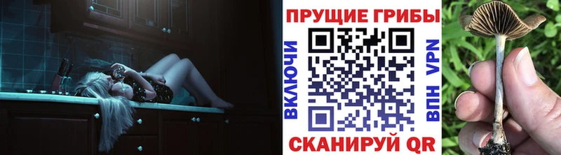 Галлюциногенные грибы MAGIC MUSHROOMS  где найти   Печора 