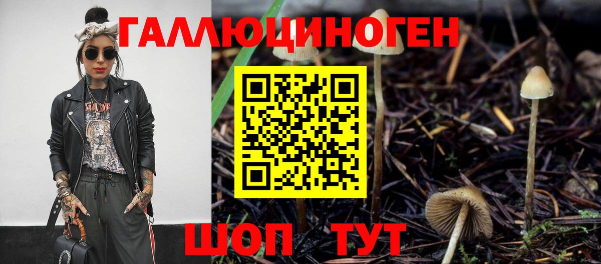 Печора  купить наркоту  Вход с VPN  Галлюциногенные грибы Psilocybe 