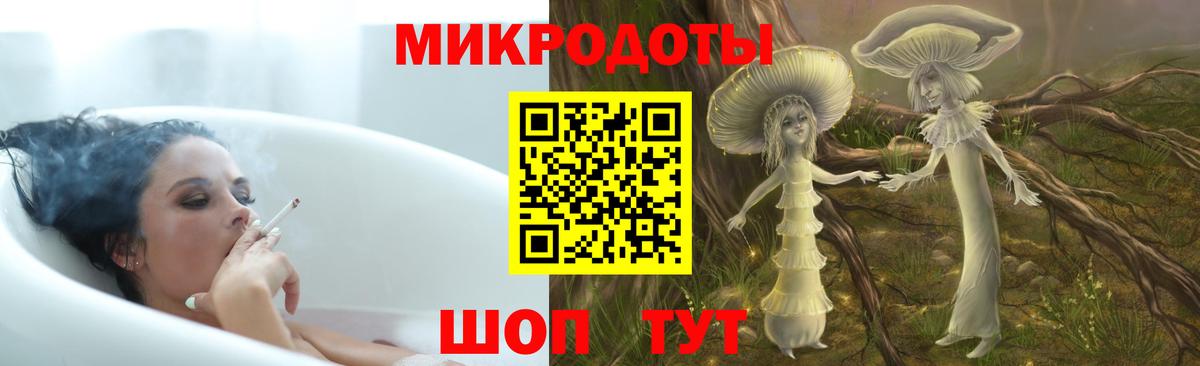 Галлюциногенные грибы ЛСД Печора